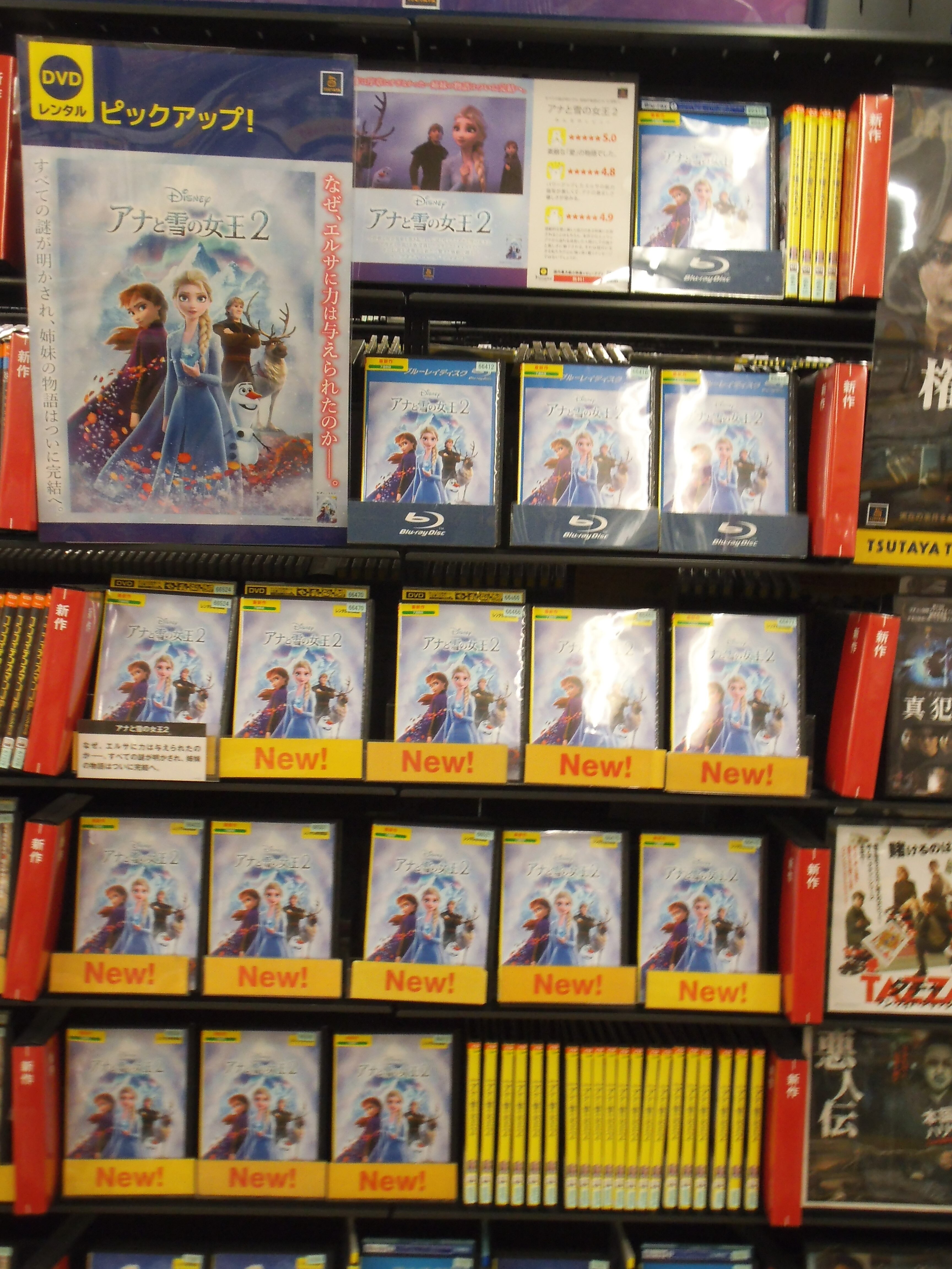 石川能美店 アナと雪の女王２好評レンタル中 お知らせ イベント 明文堂書店 Tsutaya明文堂